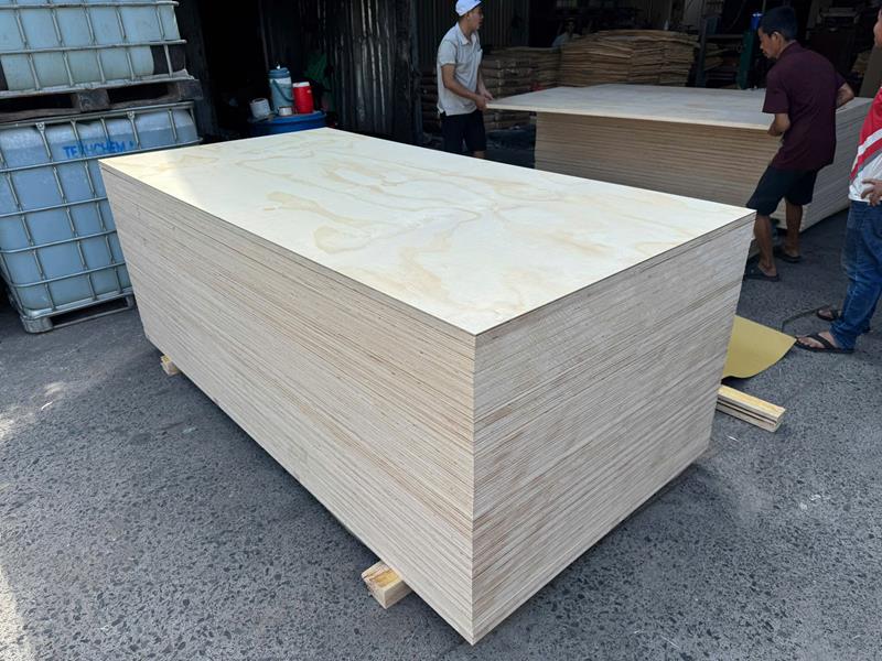 Ván ép phủ mặt Thông